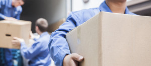 Compare Professional moving companies